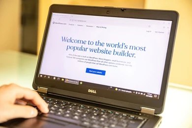 apa itu wordpress
