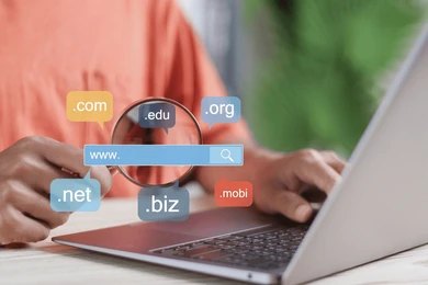 apa itu domain